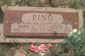 Pino, Maria T. (Telesfora Montoya)