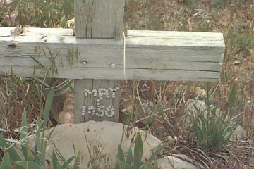 Pino, Gail Lorraine