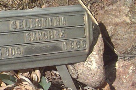 Sanchez, Selestina