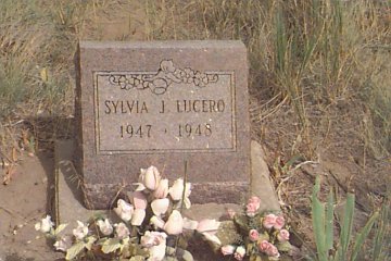Lucero, Sylvia J.