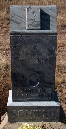 schwab, amelia